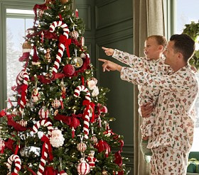 Velvet and Chenille Candy Cane Ornaments (18"), Set of 3 | Pottery Barn Kids