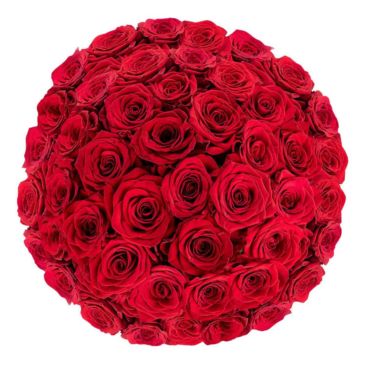 Fresh Cut 50-stem Red Roses | Target