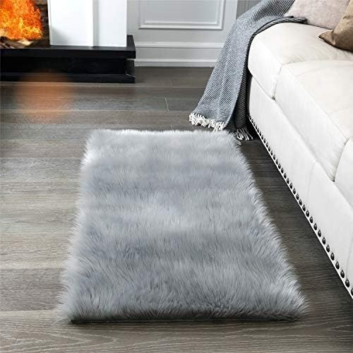 Super Soft Fluffy Rug Faux Fur Area Rug, Fur Rugs for Bedroom, Fuzzy Carpet for Living Room, 2x4 ... | Amazon (US)