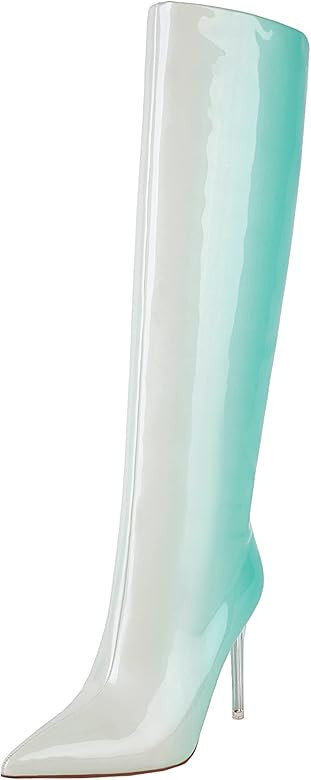 Reitoye Knee High Pointed Toe Stiletto High Heels Boots for Women Fashion Ombre Pull on Boot | Amazon (US)