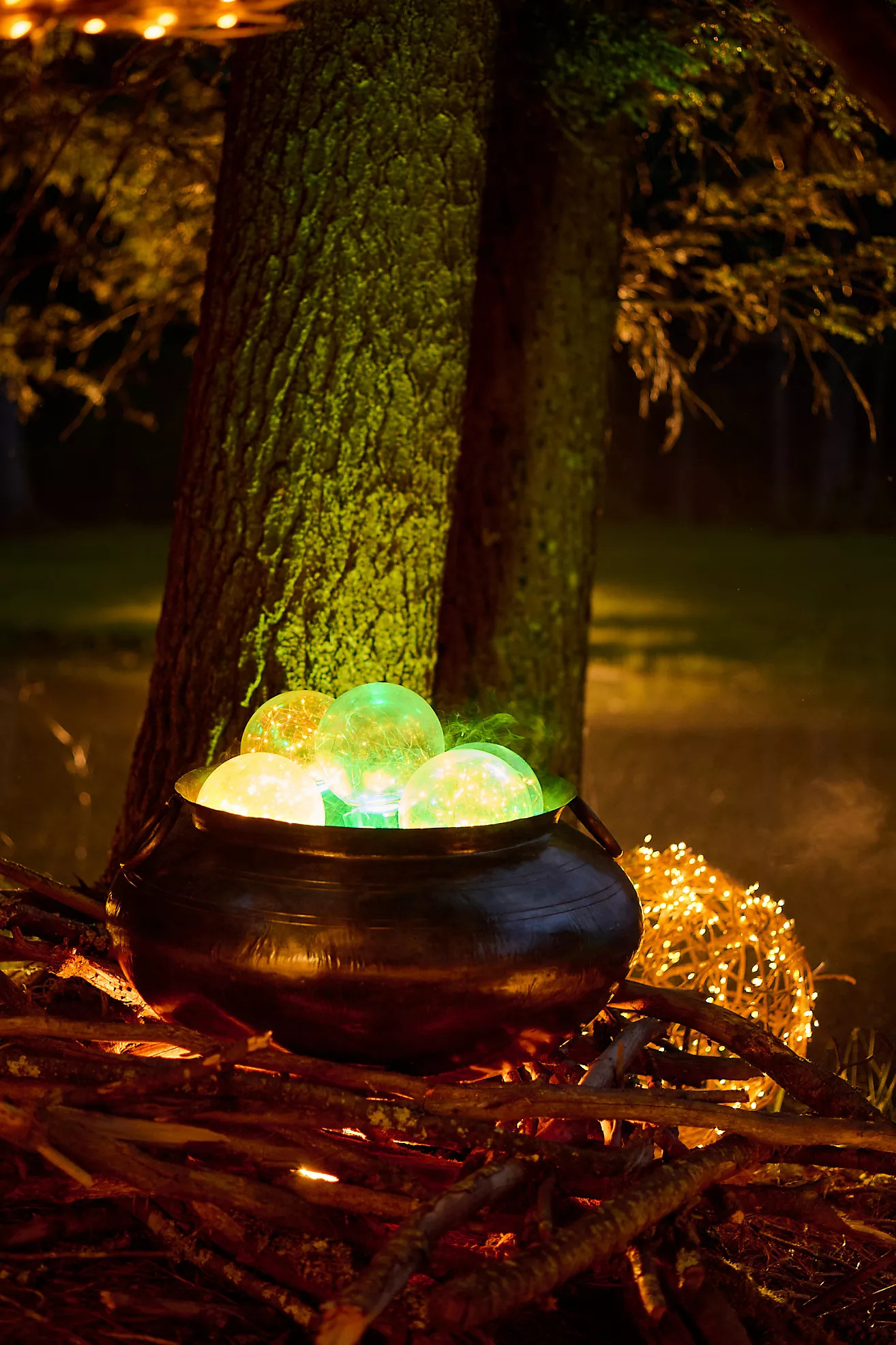 Black Iron Potbelly Cauldron Planter | Anthropologie (US)