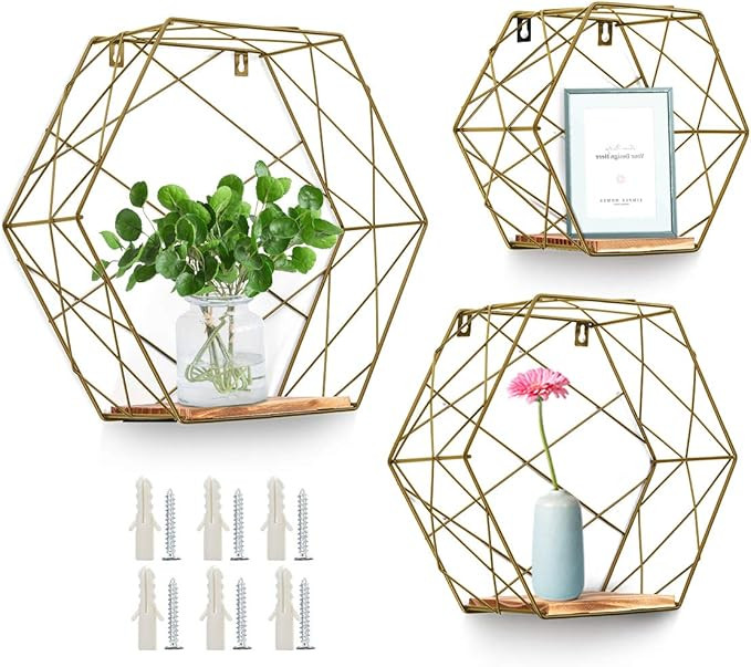 AGSIVO Wall Mounted Hexagonal Floating Shelves Farmhouse Storage Shelves for Wall,Bedroom, Living... | Amazon (US)