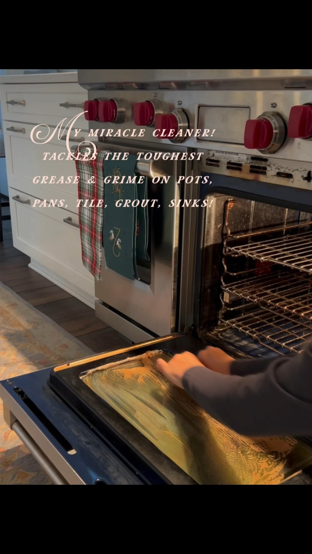A little cleaning magic ✨🩷 The Pink Stuff Miracle Cleaning Paste has quickly become one of my go-to products for tackling those stubborn messes around the house.
#miraclecleaner #pinkstuff #cleaninghacks 
I’ve been using it on everything from oven doors and baked-on pots & pans to tile and grout, and I’m always amazed at how easily it cuts through the grime. A little goes a long way, it’s incredibly affordable, and it leaves everything looking so fresh and clean.

One of those inexpensive cleaning finds that actually lives up to the hype—and definitely earns a permanent spot in my cleaning cabinet! 🩷✨

#LTKHome