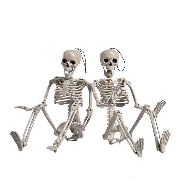 Mnycxen Posable Skeleton Decoration Realistic Full Body Halloween Skeleton With Movable/Posable J... | Walmart (US)