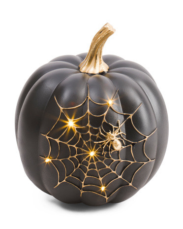 Led Pumpkin With Spider & Web | TJ Maxx