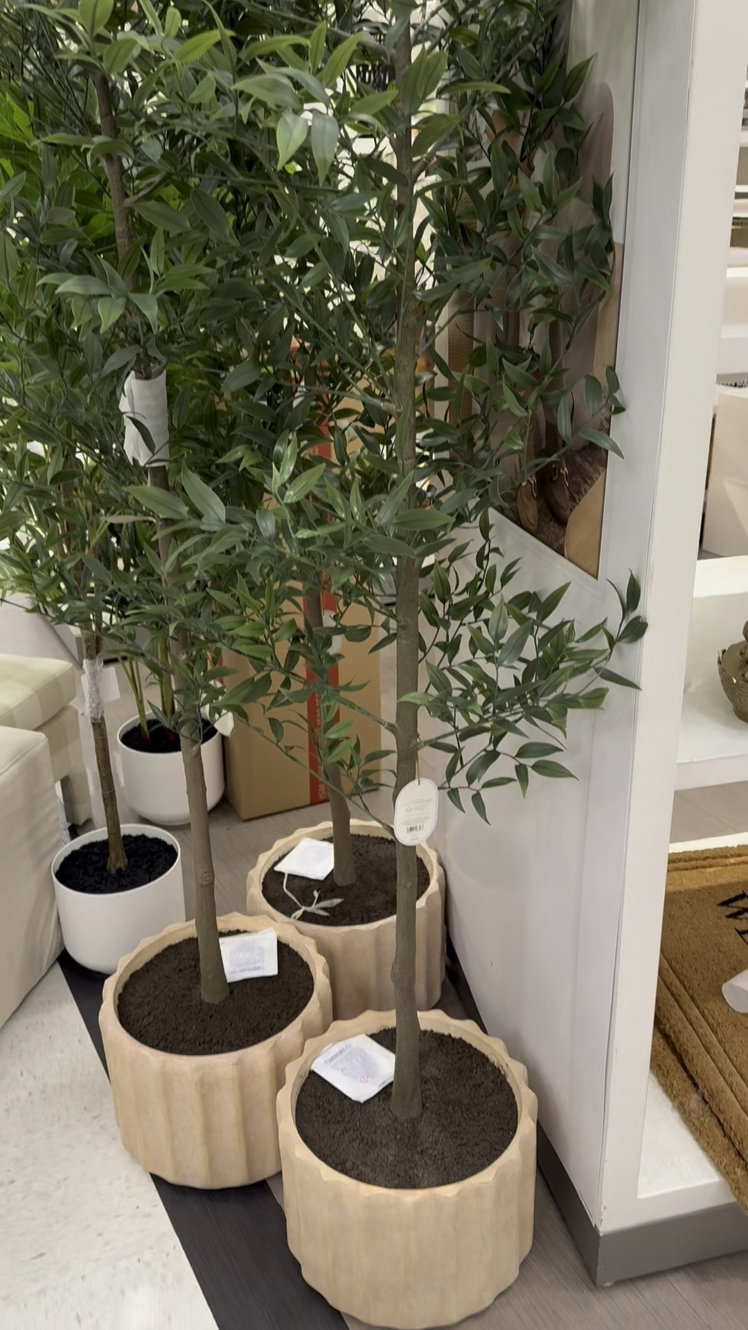 NEW! These are very realistic looking. The pot with the fluted edges is so chic. Thinking of spring 🪴