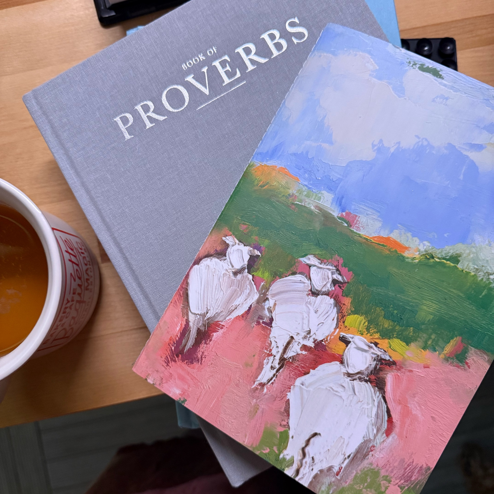 my favorite journals and brand for individual books of the bible

alabaster has the prettiest bible books with lots of space to write and beautiful art/images added in, linked a few that are on sale on amazon now

#LTKSaleAlert #LTKGiftGuide #LTKFamily