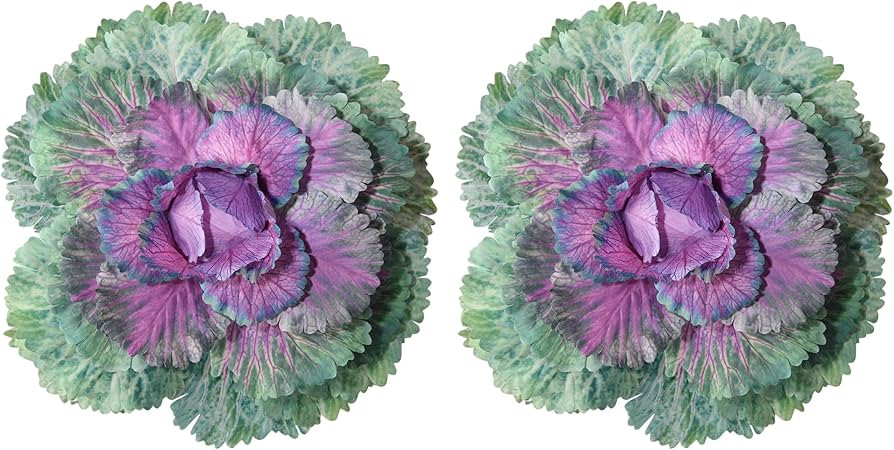 2PCS Faux Cabbage Fall Autumn Outdoors, Artificial Vegetables Realistic UV Resistant, Fake Orname... | Amazon (US)