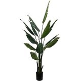Floral Home Bird of Paradise Plant, Seven Feet Tall Tree, 13 Detailed Dark Green Leaves, Potted in B | Amazon (US)