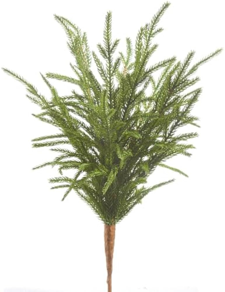 18" Soft Touch Norfolk Pine Pick | Amazon (US)