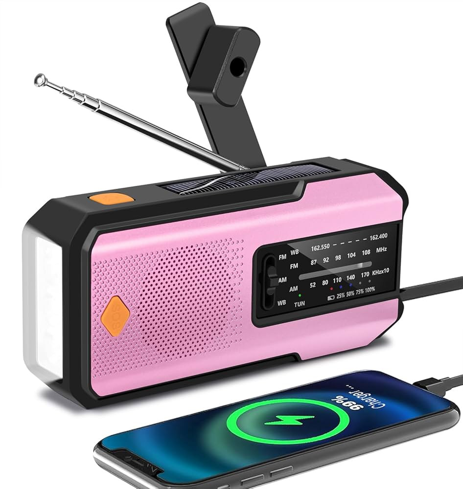 Emergency Hand Crank Radio with 3 LED Flashlight, AM/FM/NOAA Portable Weather Radio with Phone Ch... | Amazon (US)