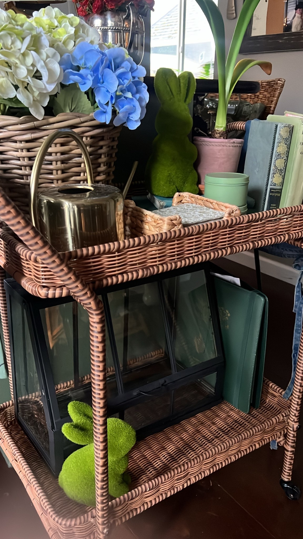 Spring on the inside🌸
Greenhouse from Ikea

#LTKSeasonal #LTKOver40 #LTKHome