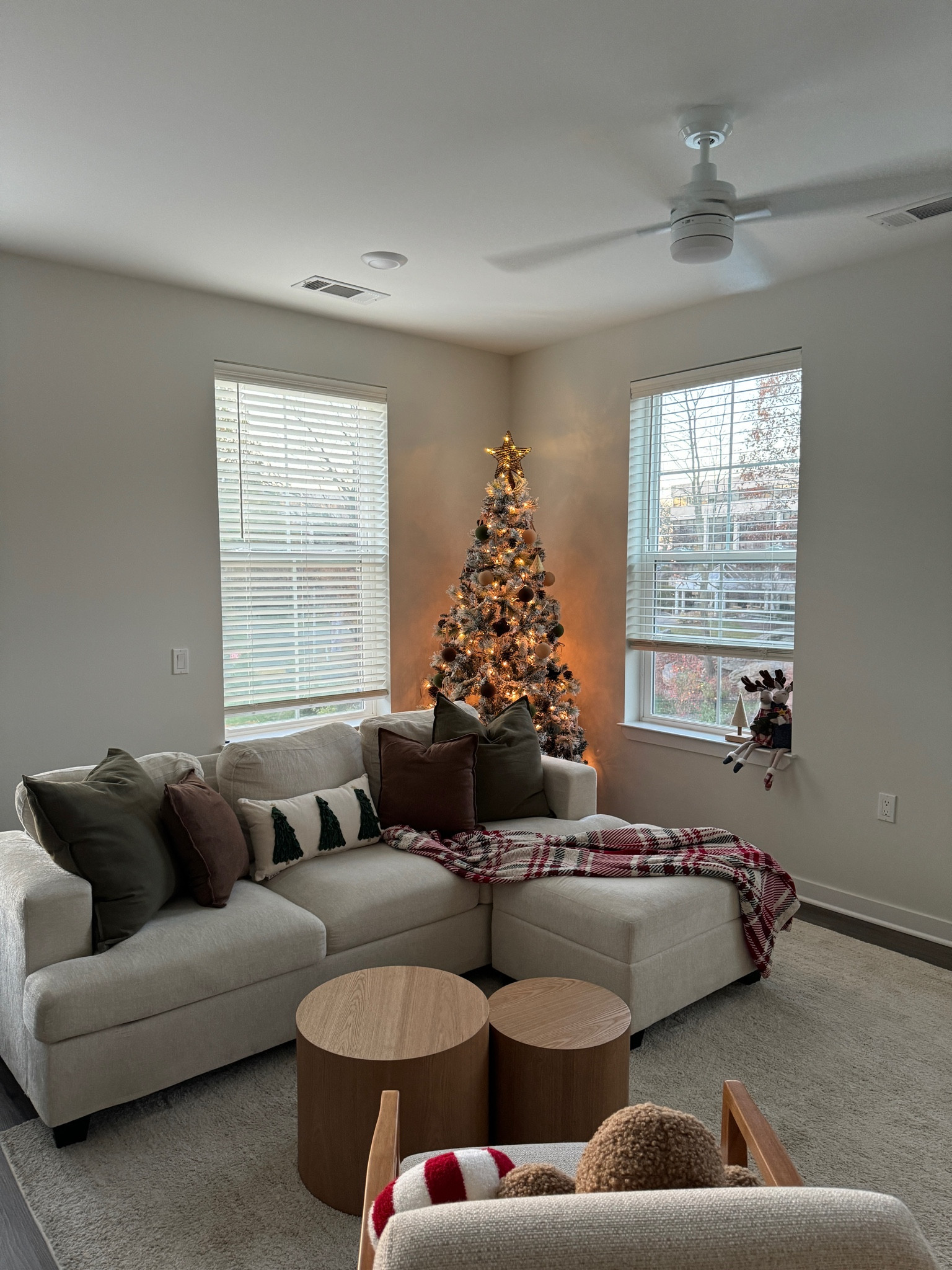 Christmas Amazon Decor 🎄

#LTKHoliday #LTKSeasonal