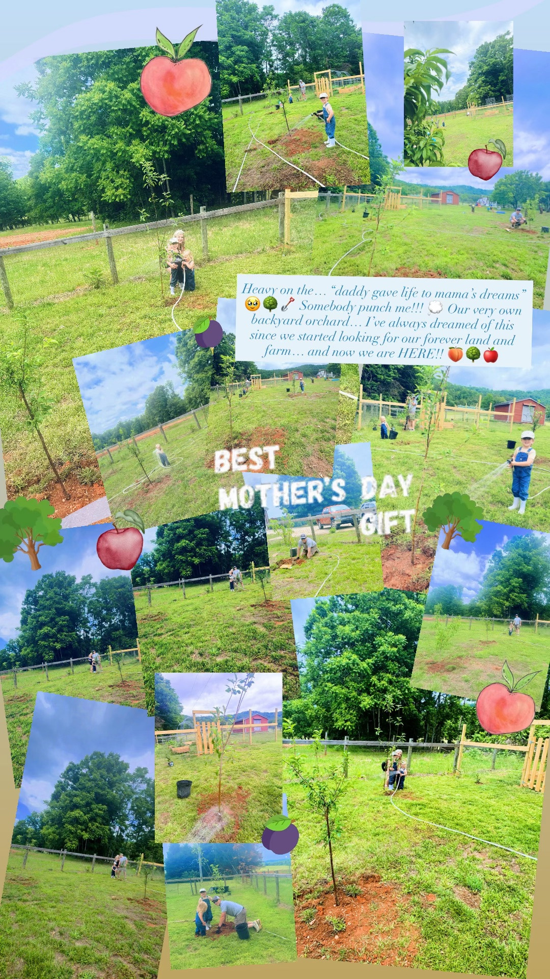 Heavy on the… “daddy gave life to mama’s dreams” 🥹🌳🪏 Somebody punch me!!! 💭 Our very own backyard orchard… I’ve always dreamed of this since we started looking for our forever land and farm… and now we are HERE!! 🍑🌳🍎