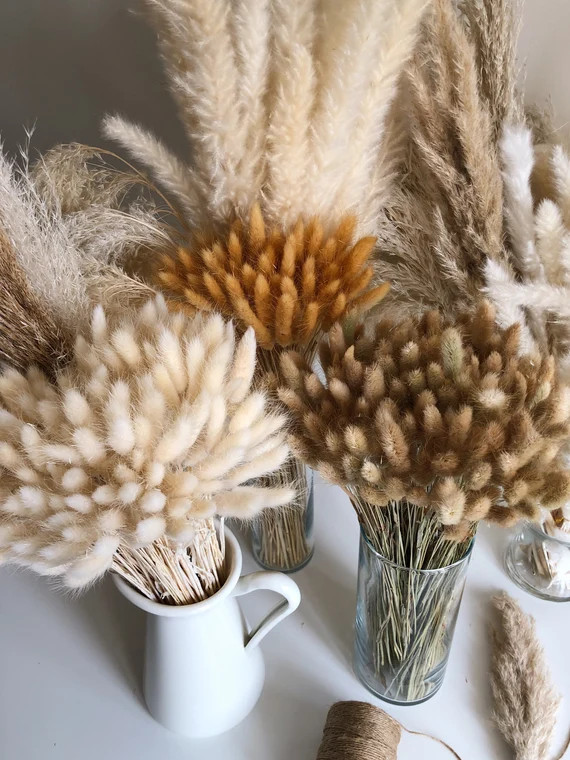 BUNNY TAILS 50 pcs - Natural Dried Lagurus Pampas Grass Boho Wedding Decor Bridal Bouquet Bohemia... | Etsy (US)