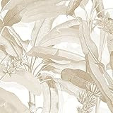 Norwall MH36536 Polynesian Leaves Wallpaper | Amazon (US)