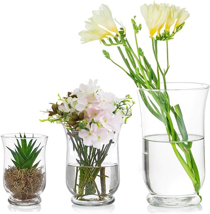 Glasseam 3Pcs/Set Vases for Flowers, Clear Hurricane Vase, Clear Vases for Decor, Hurricane Candl... | Amazon (US)