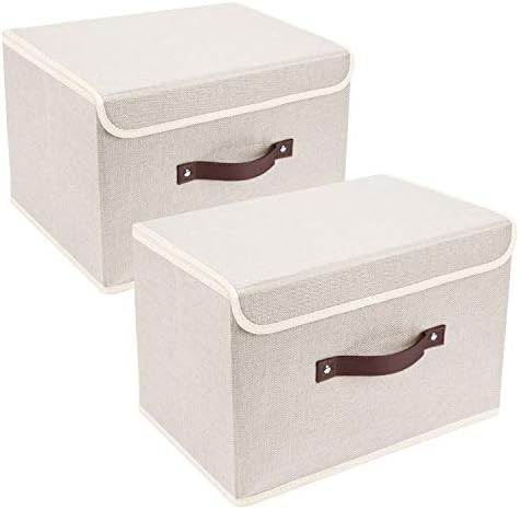 TYEERS Foldable Storage Boxes with Lids 2 Pack Fabric Storage Bins with Lids, Closet Organizers f... | Amazon (US)