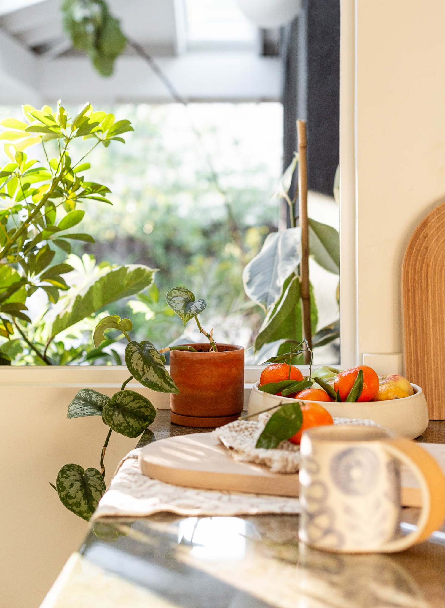 Morning coffee - mugs - terracotta planter - white ceramic bowls - fruit bowl - kitchen

#LTKFind #LTKstyletip #LTKhome
