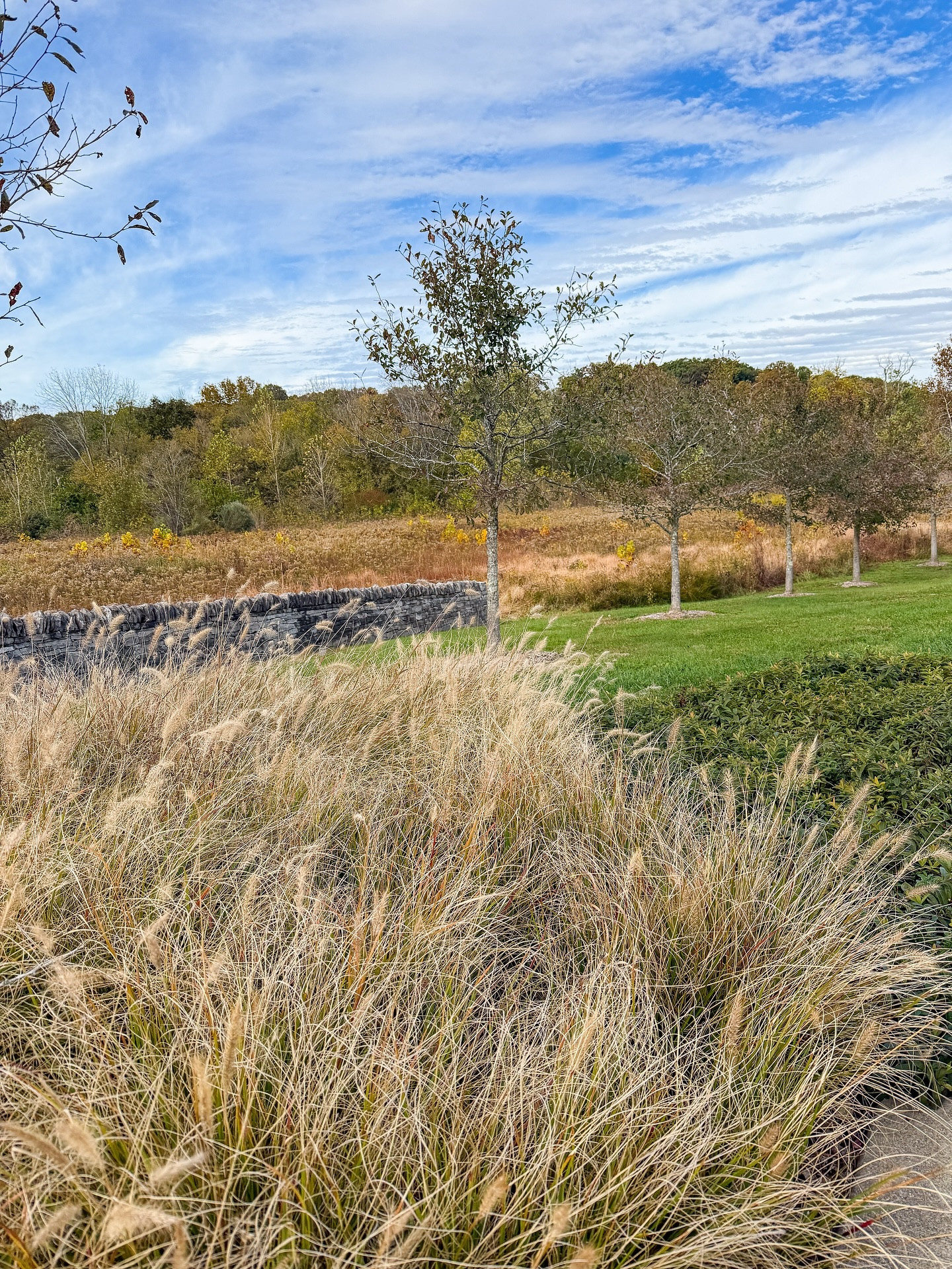 Best part of fall?
Going on walks with these little humans. 🧡 

.

#FamilyWalk #FallVibes #AutumnAdventures #CozyMoments #LeafSeason