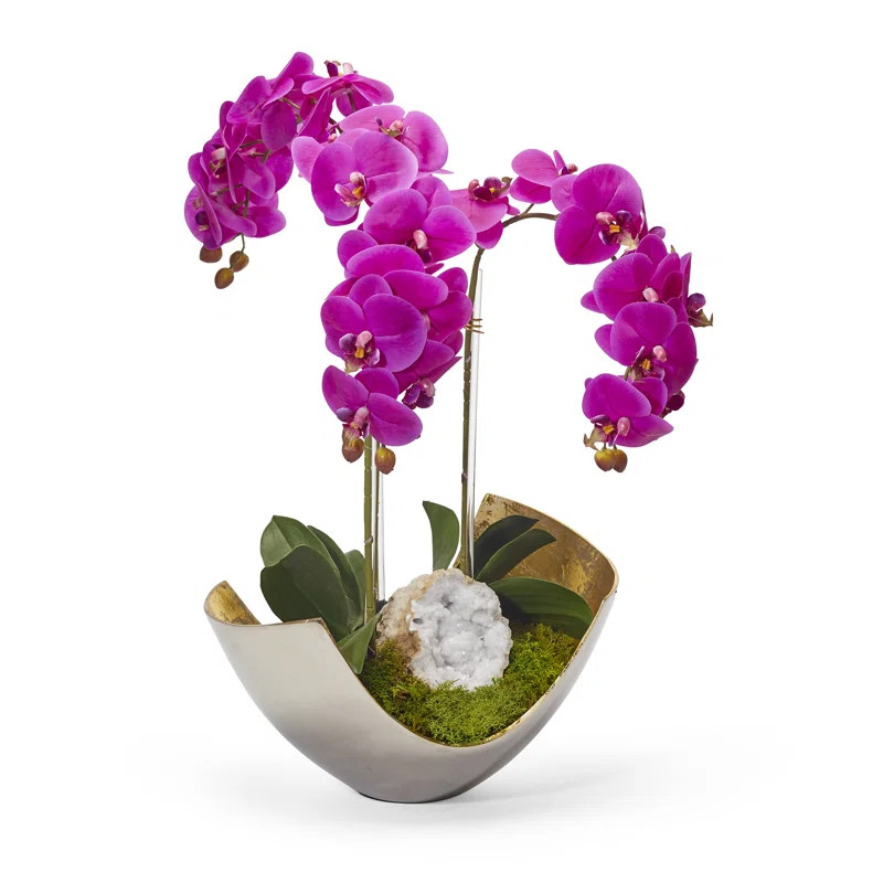 Faux Silk Orchid Arrangement in Vase | Wayfair North America