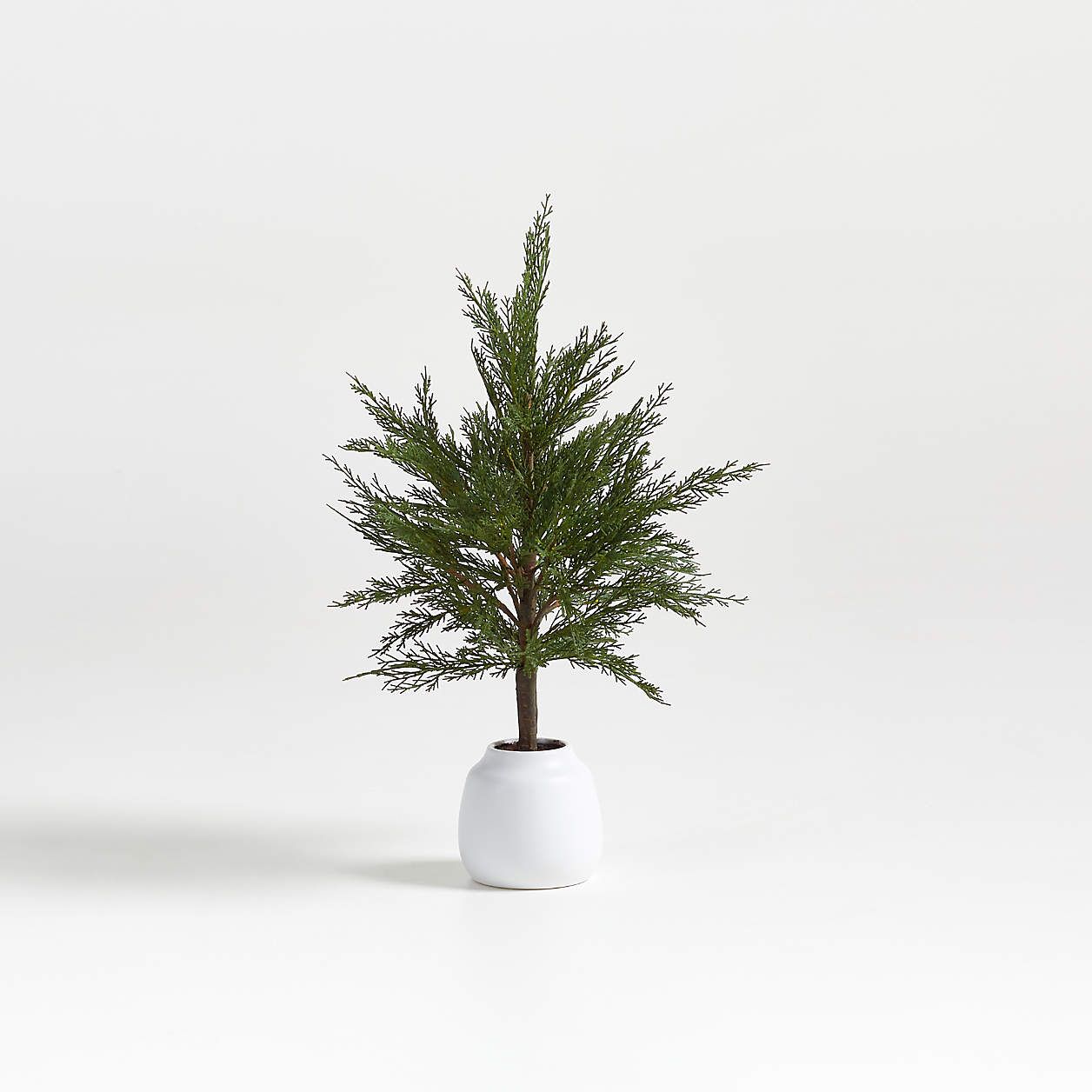 Faux Potted Cypress Trees | Crate and Barrel | Crate & Barrel