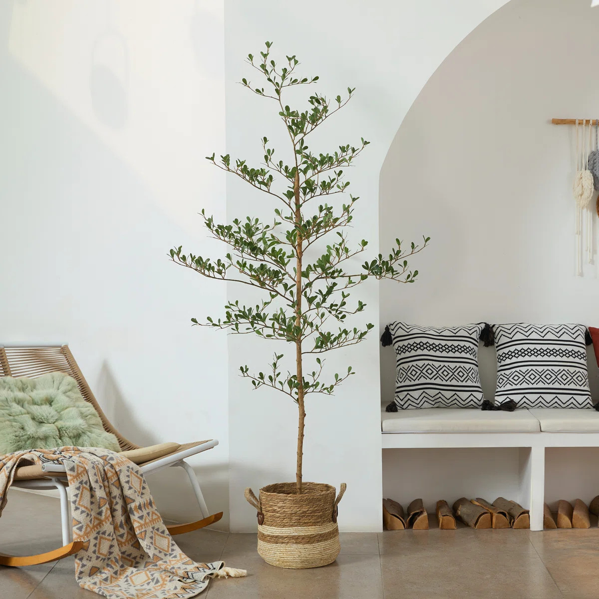 Adcock 6ft Artificial Tree Black Olive, UV Resistant Faux Plants - Real Wood Trunk, Floor Plant O... | Wayfair North America