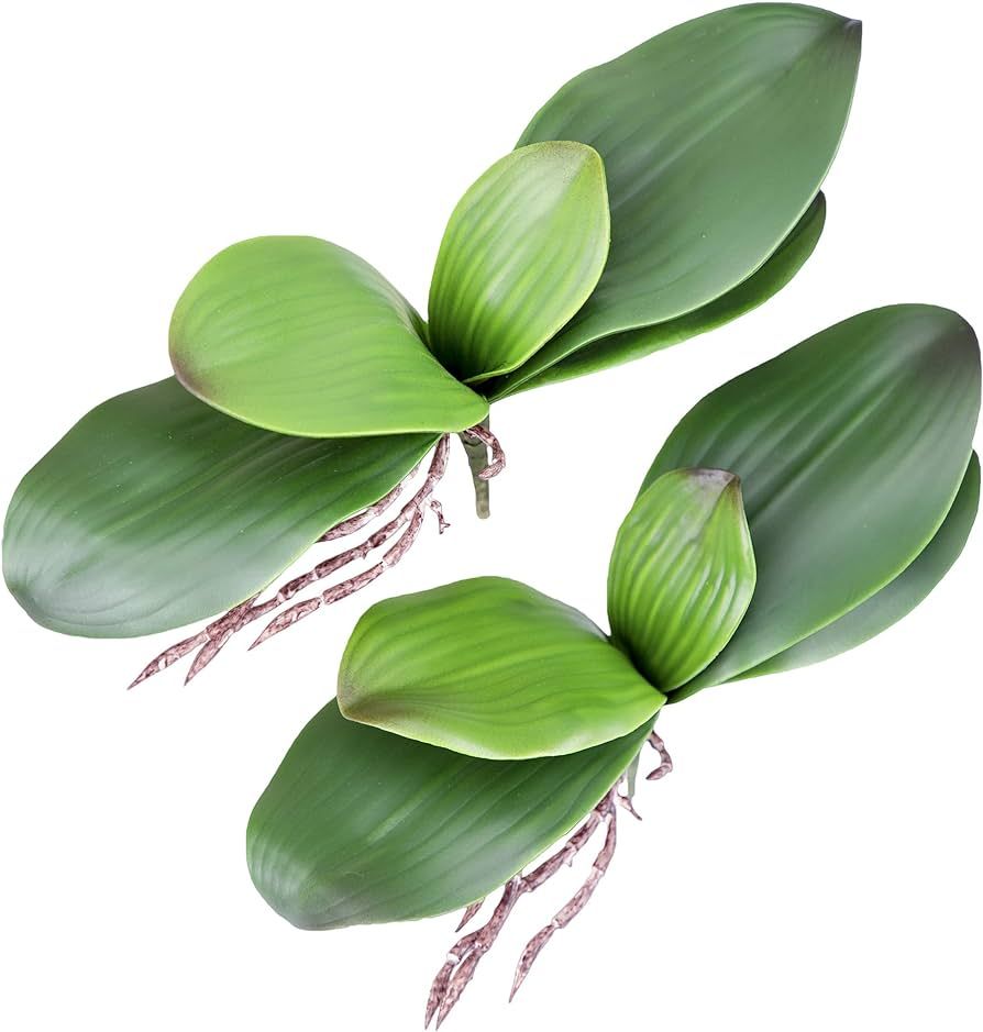 Fnize Orchid Leaves Artificial Phalaenopsis Stems Leaf Faux Cymbidium Flower Foliage Green Real T... | Amazon (US)