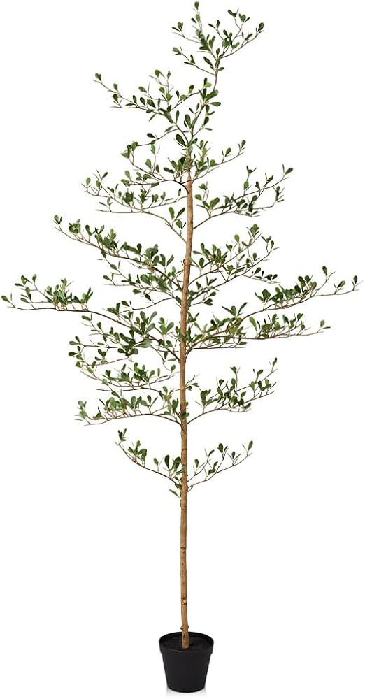Artificial Black Olive Tree 6FT Indoor Outdoor Decor Faux Plants - Real Wood Trunk Fake Tree with... | Amazon (US)