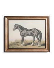 16x20 Black Horse Wall Art | TJ Maxx