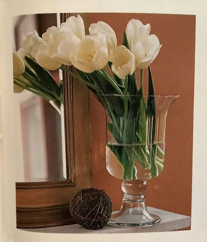 Southern Living & Willow House Hemingway Hurricane Clear Footed Vase 40350 | eBay | eBay US