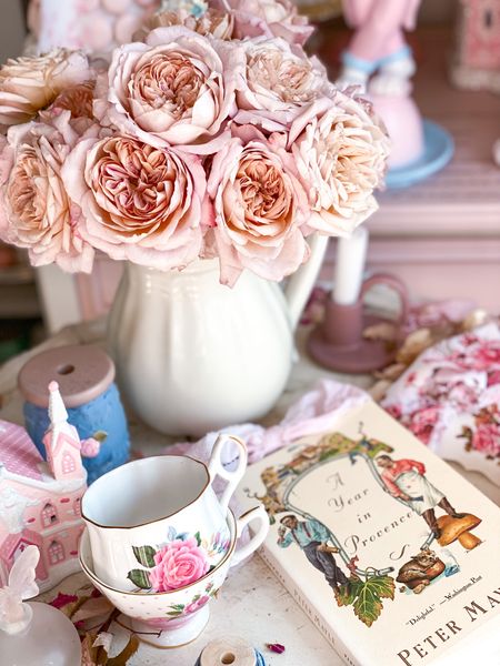 Dream of Provence with this fabulous book chronicling a British couple’s first year living there while sipping tea and enjoying your roses  

#LTKhome #LTKeurope #LTKfindsunder100