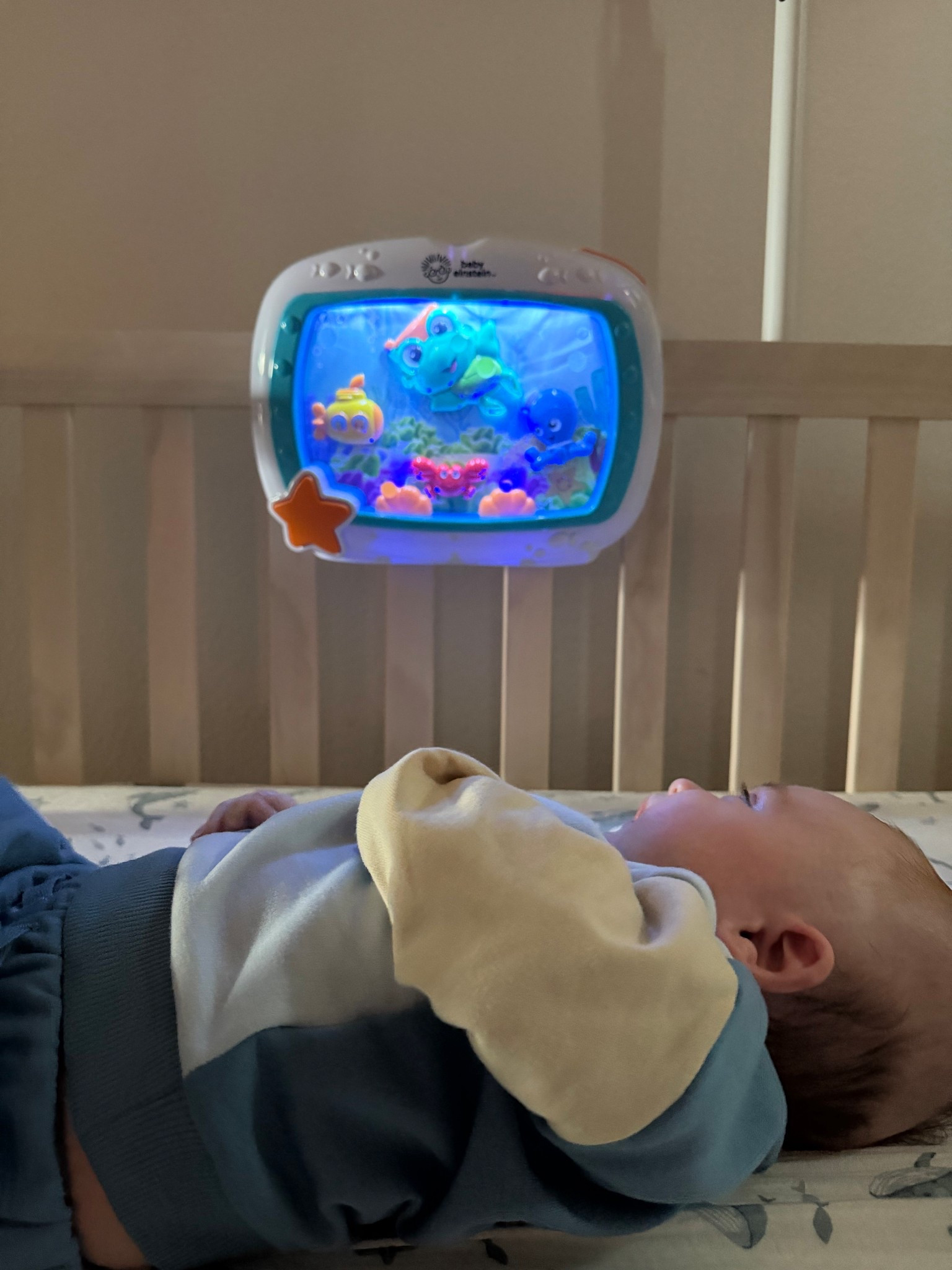 To everyone who told me to put this in his crib… thank you. It’s been buying me an extra 2 to 5 minutes here and there, which honestly makes such a difference when I need to do the tiniest thing, like go to the bathroom or quickly get something done. One of those baby items that has ended up being way more helpful than I expected.
—

Baby Einstein fish aquarium, Baby Einstein aquarium, crib soother, crib toy, baby crib toy, baby aquarium soother, baby sound machine toy, baby entertainment toy, baby crib essential, infant crib toy, baby soother, baby calming toy, crib distraction for baby, baby products we use, baby favorites, infant entertainment, baby activity toy, crib must haves, baby sleep space essentials, first time mom finds, new mom finds, baby must haves, baby gear favorites, baby items that help, motherhood finds 

#LTKmomlife #LTKBaby