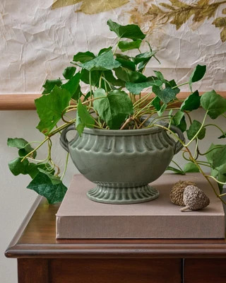 Jo's Vintage Inspired Pedestal Vase | Magnolia