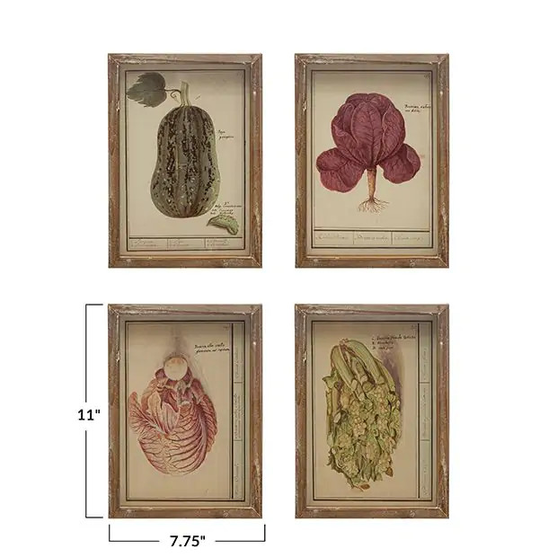 Framed Vintage Reproduction Vegetable Print Set of 4 | Antique Farm House
