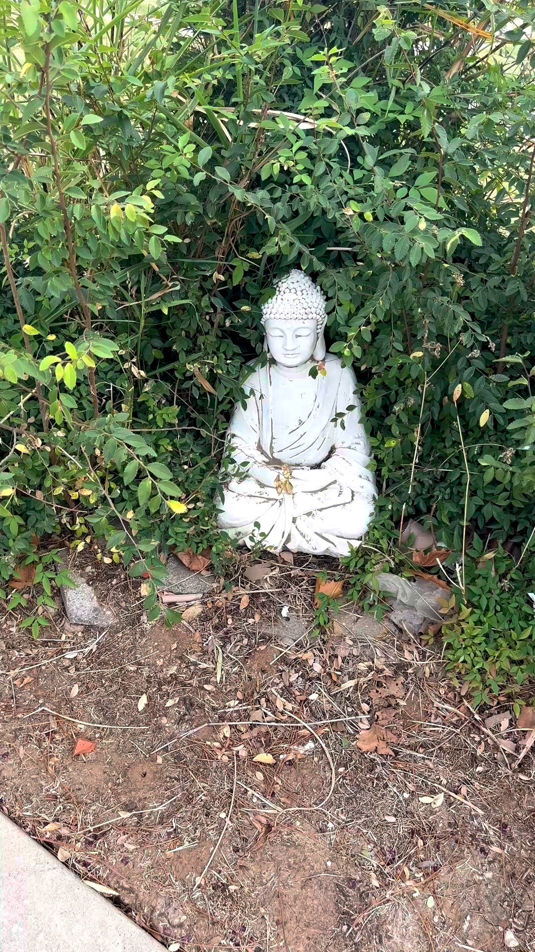 Withstands all weather. ☔️❄️☀️

#LTKHome