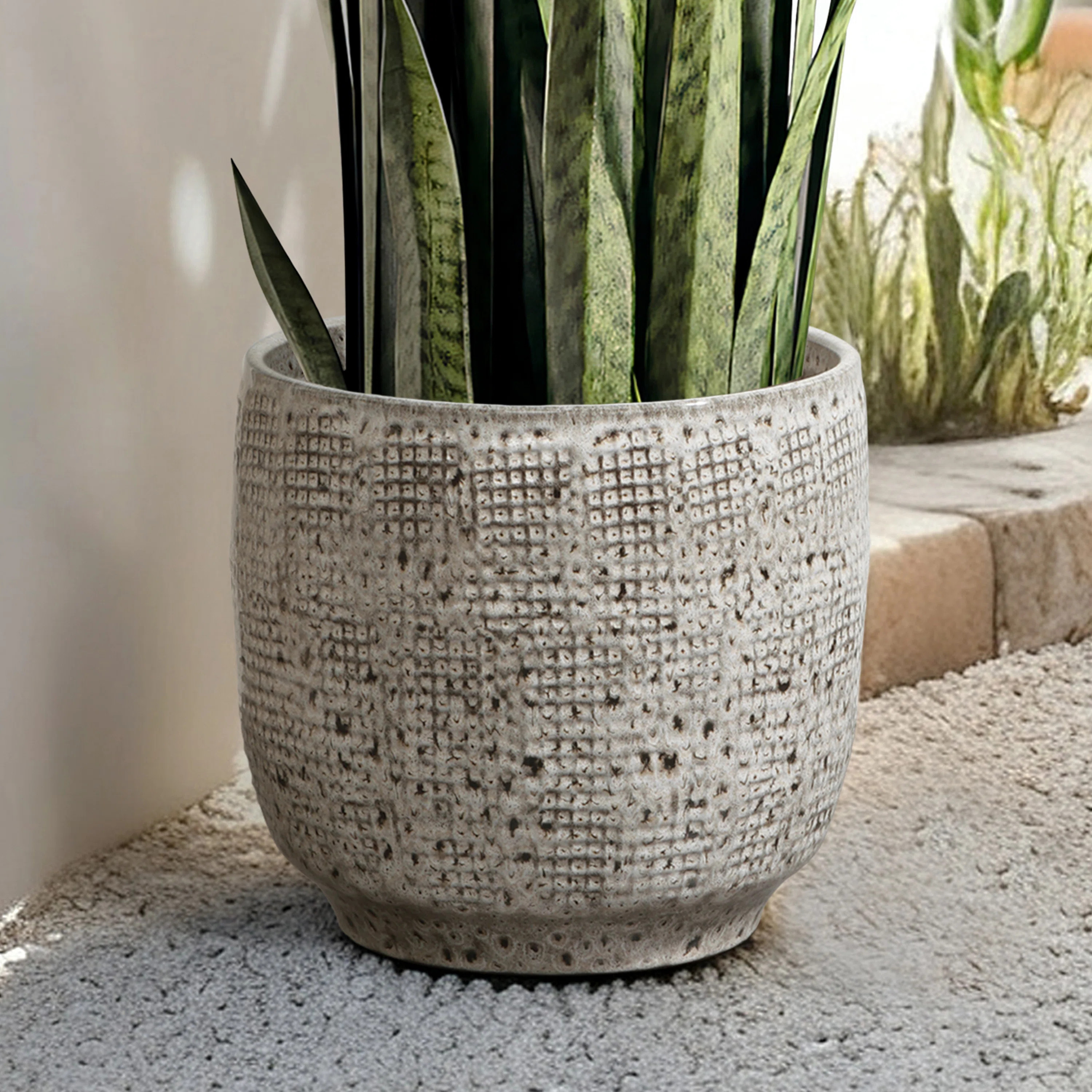 Ocean Round Ceramic Planter | Wayfair North America