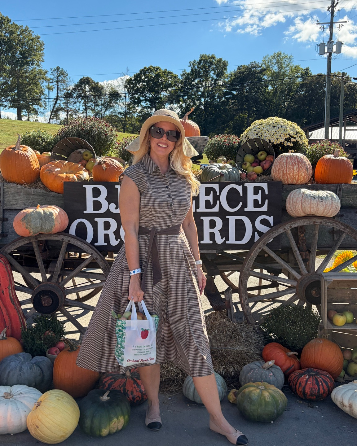 The majority voted for this dress and I agree! 🍏🍎

#LTKdayinmylife #LTKgrwm #LTKSeasonal
