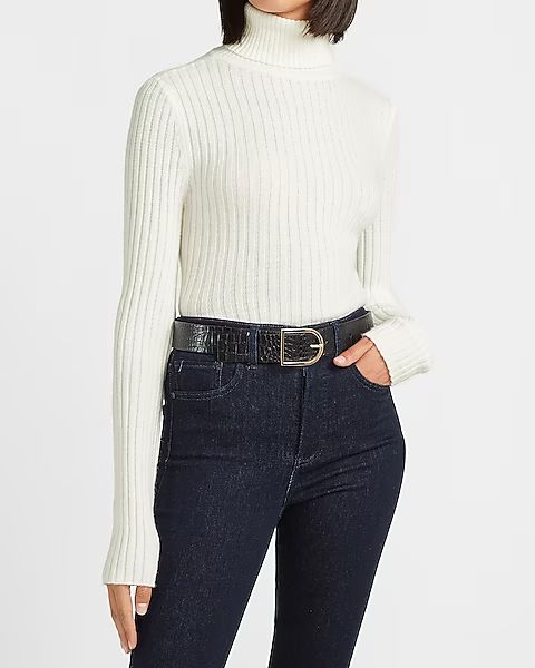 Wide Ribbed Turtleneck Sweater | Express