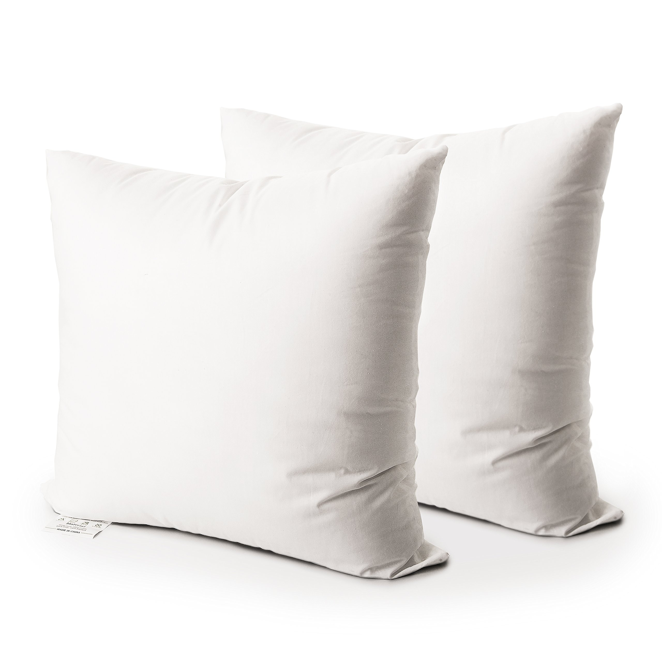 EDOW Throw Pillow Insert, Set of 2 Down Alternative Polyester Square Form Decorative Pillow, Cushion,Sham Stuffer. (White, 22x22) | Amazon (US)