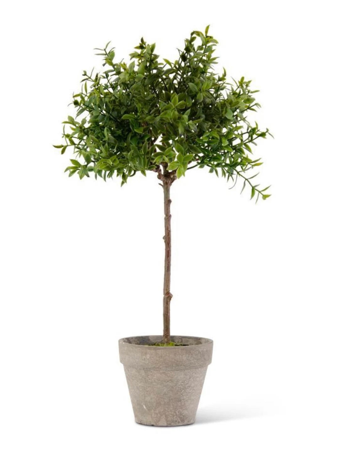 Potted Green Leaf Topiary 14.5”h | Etsy (US)