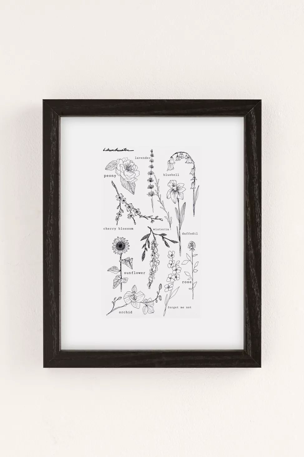 Bailey Drinkwater Flower Study Art Print | Urban Outfitters (US and RoW)