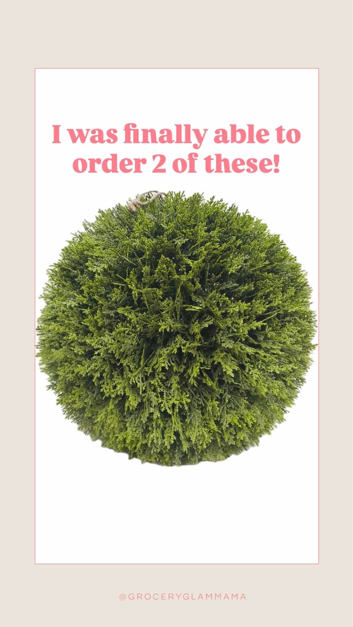 I plan to put these outside my front door in my black planters!!!

#LTKHome #LTKSeasonal #LTKmomlife