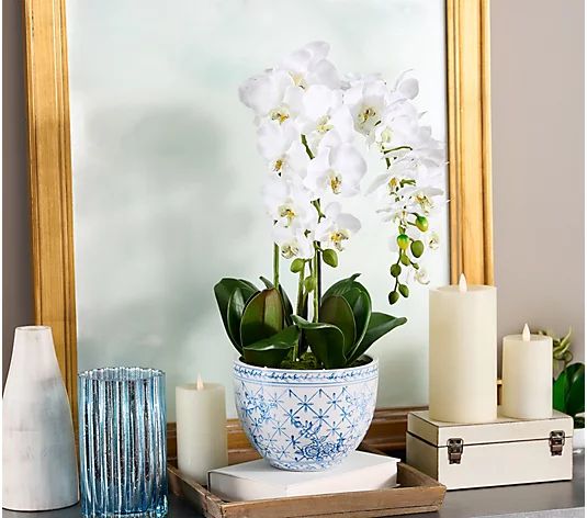 "As Is" 24" Deluxe Orchid in Ceramic Pot by Valerie - QVC.com | QVC