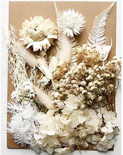 White Dried Flowers | Amazon (US)