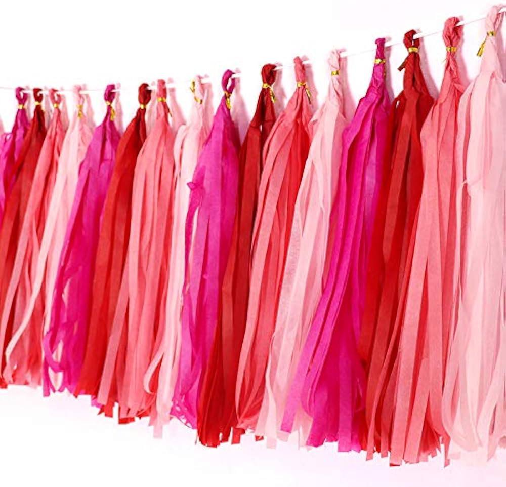 Binpeng Tissue Paper Tassel DIY Hanging paper decorations Party Garland Decor for Party Decoratio... | Amazon (US)