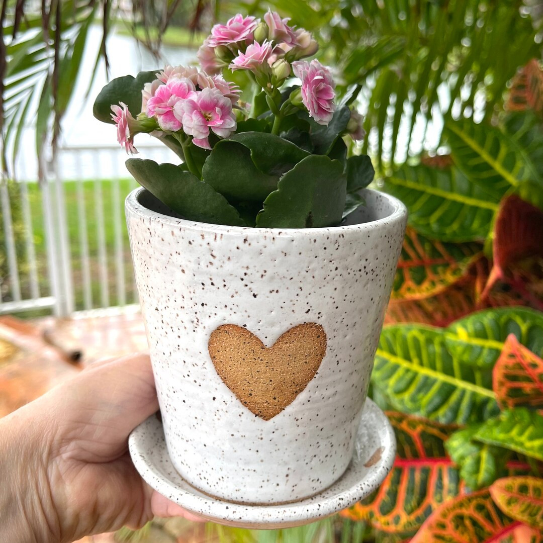 Flowerpot With Hearts, Plant Pot and Saucer, White Speckled Succulent Pot - Etsy | Etsy (US)