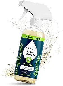 Puracy Stain Remover Cleaning Spray - Enzyme-Powered Stain Remover Spray As Seen on TikTok, Natur... | Amazon (US)