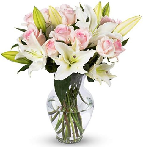 Benchmark Bouquets Light Pink Roses and White Oriental Lilies, With Vase (Fresh Cut Flowers) | Amazon (US)
