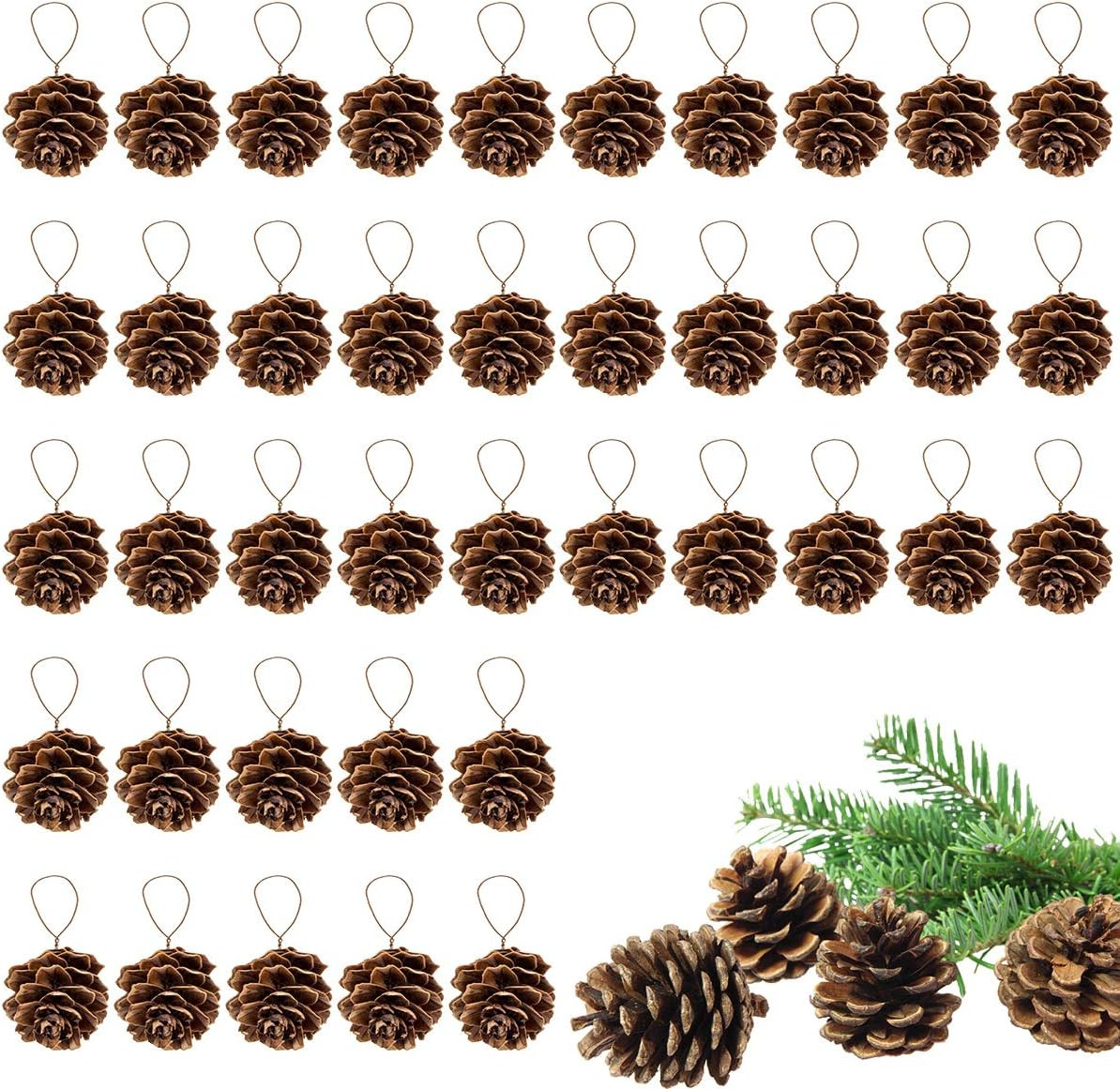 Natural Mini Pine Cones Ornaments - Tiny Pine Cones for Christmas Decor, Pinecone with Strings fo... | Amazon (US)